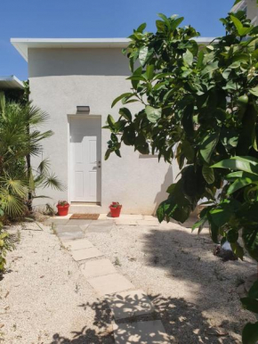 Oasis in the heart of the city